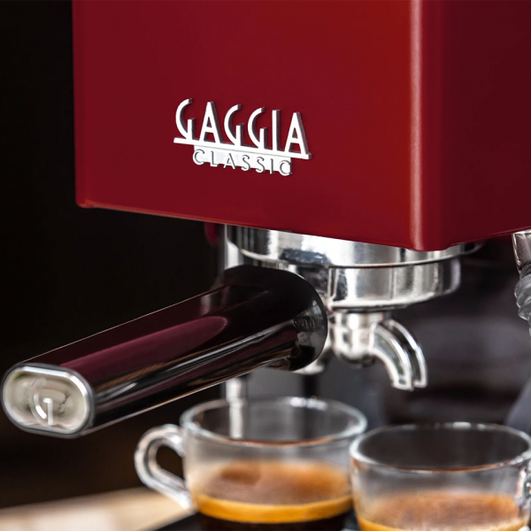 Gaggia Classic E24 (6)