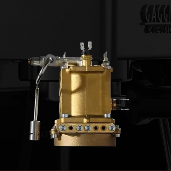 Gaggia Classic E24 (7)