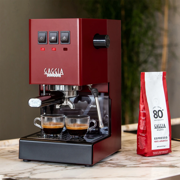 Gaggia Classic E24 (8)